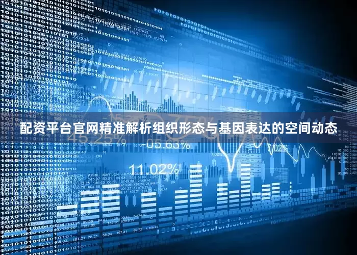 配资平台官网精准解析组织形态与基因表达的空间动态