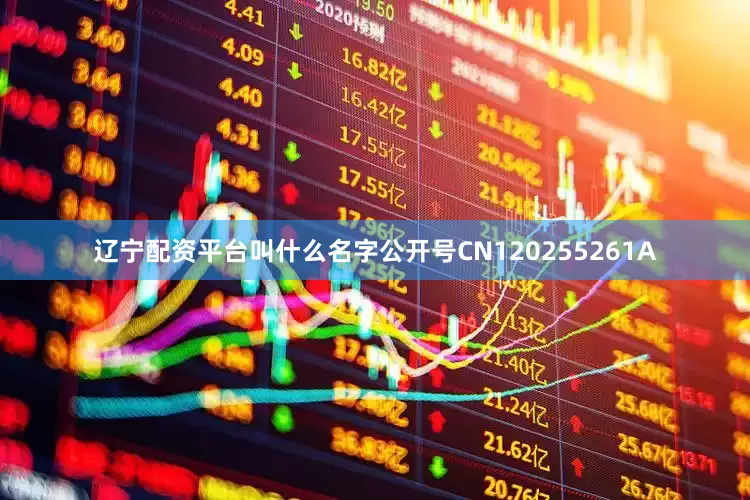 辽宁配资平台叫什么名字公开号CN120255261A