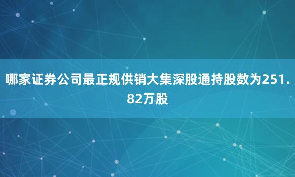 哪家证券公司最正规供销大集深股通持股数为251.82万股