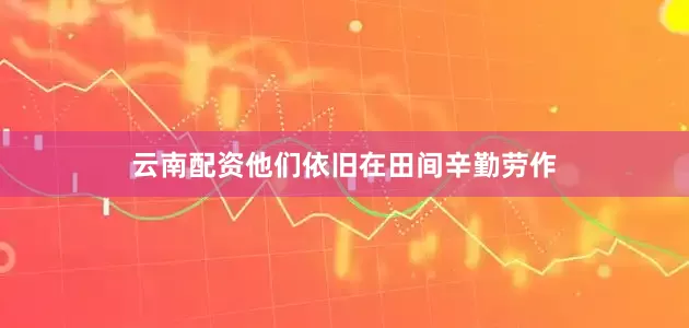 云南配资他们依旧在田间辛勤劳作