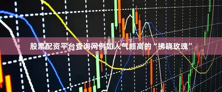 股票配资平台查询网例如人气颇高的“拂晓玫瑰”