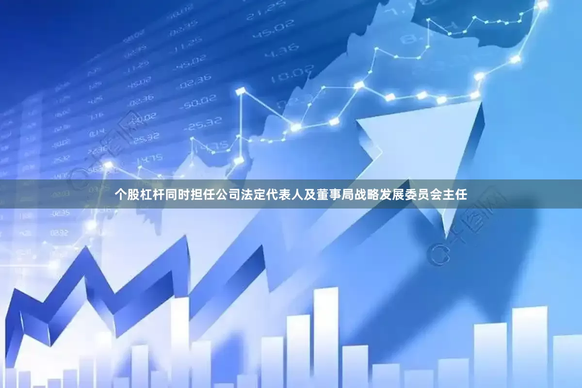 个股杠杆同时担任公司法定代表人及董事局战略发展委员会主任